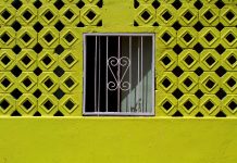 Formas, Cores e Texturas na série de Lucielle Kanzawa