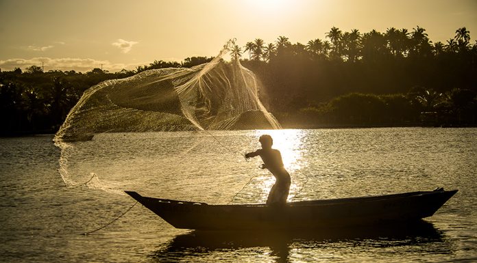 Confira a exposição "Uma Noite em Caraiva"