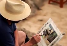 Traços, palavras e cores de Gonzalo Cárcamo