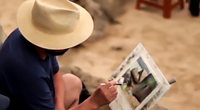 Traços, palavras e cores de Gonzalo Cárcamo