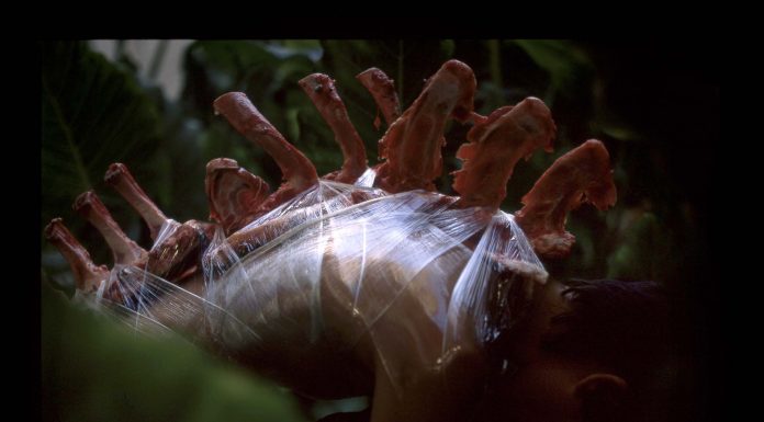 Confira a série "Sobras Revisitadas" de Edu Monteiro