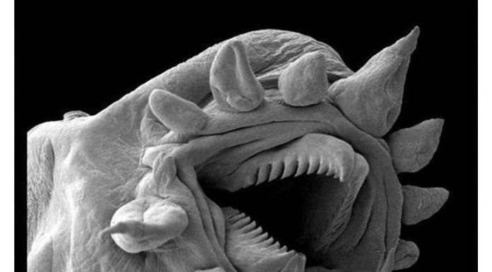 10 imagens assustadoras de coisas que não podemos ver