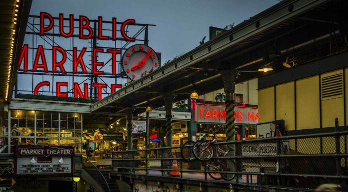 Elementos, estruturas, cores e luz por Brian Xavier