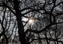 Conheça a técnica de fotografia Fens Flare