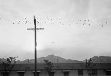 A fotografia através dos olhos de Ansel Adams