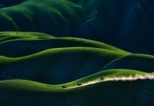 Sony World Photo Awards 2018: Vencedores Anunciados!