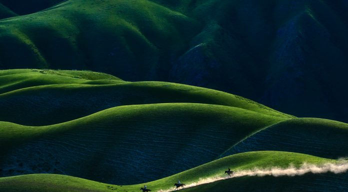 Sony World Photo Awards 2018: Vencedores Anunciados!