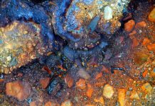 Conheça as novas imagens de Helena Cooper