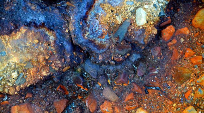 Conheça as novas imagens de Helena Cooper