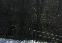 Tomiyasu Fotografou a Mesma Mesa Por Anos…