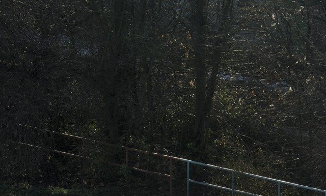 Tomiyasu Fotografou a Mesma Mesa Por Anos…