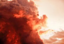 Lee Daniels e a paixão pela arte