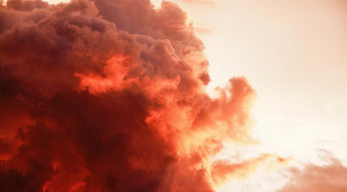 Lee Daniels e a paixão pela arte