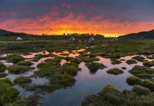 Casamento indígena na taiga selvagem da Mongólia é fotografado