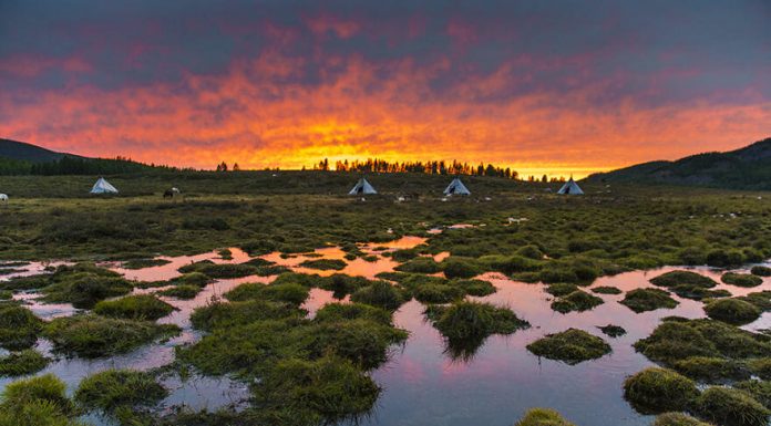Casamento indígena na taiga selvagem da Mongólia é fotografado