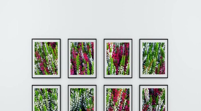 Parede de galeria: Crie na sua casa! parede de galeria