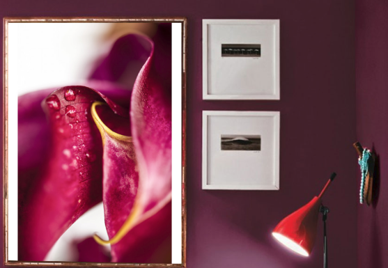 Decoração violeta como inspiração para sua casa