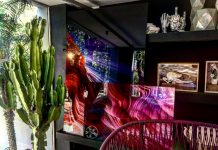 "A Leveza do Peso que Respira"