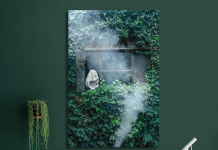 Decorando sua casa com tons de verde