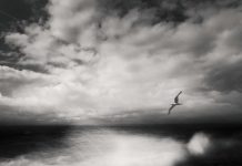 As Lindas Fotografias em P&B de Zoltan Bekefy