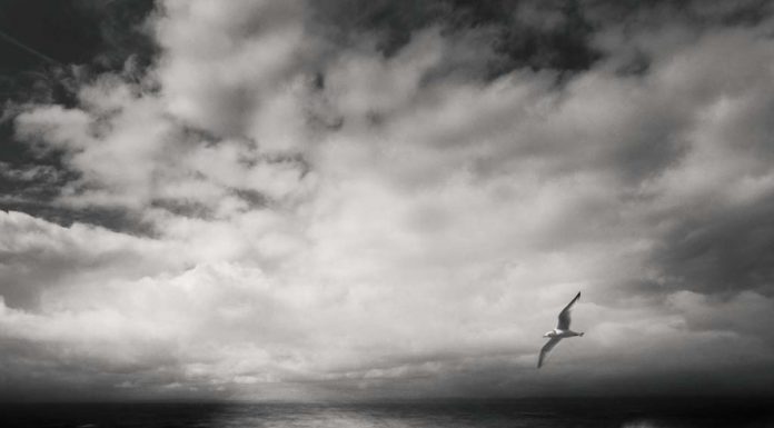 As Lindas Fotografias em P&B de Zoltan Bekefy