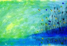 As divertidas ilustrações de Orlando Pedroso