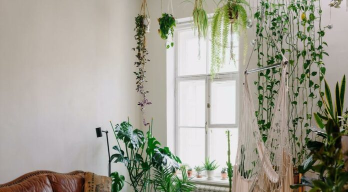 Como decorar a sala: dicas e inspirações