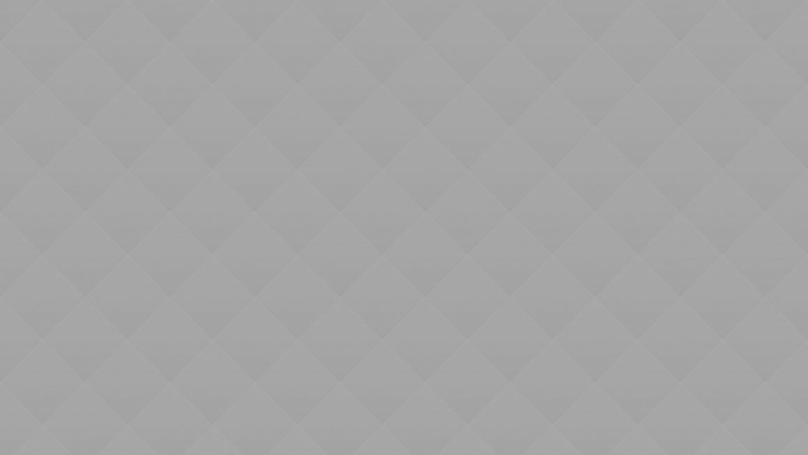 06 The Dutch painter Vermeer