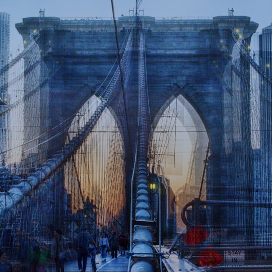 Brooklin Bridge - Claudia Furlani