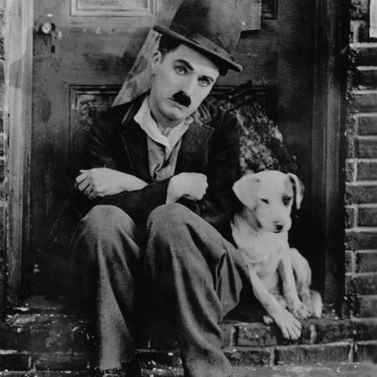 Chaplin A Dogs Life