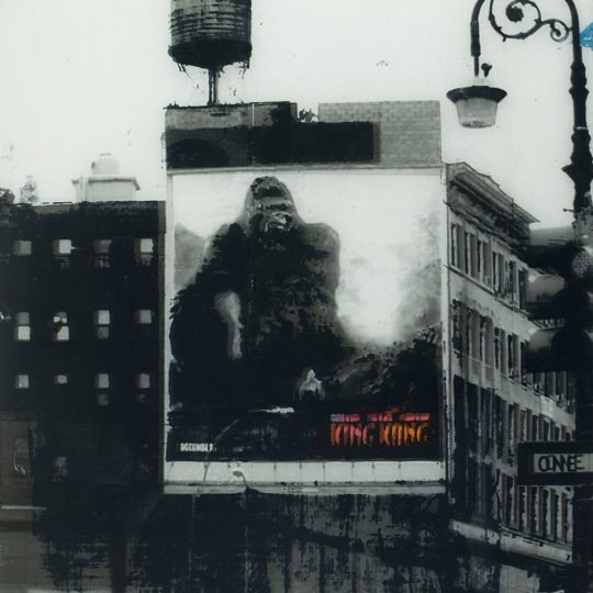 King Kong NYC - Sandra Rauch