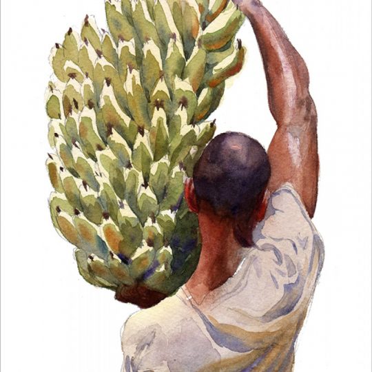 Jardineiro com Cachos de Banana - Gonzalo Cárcamo