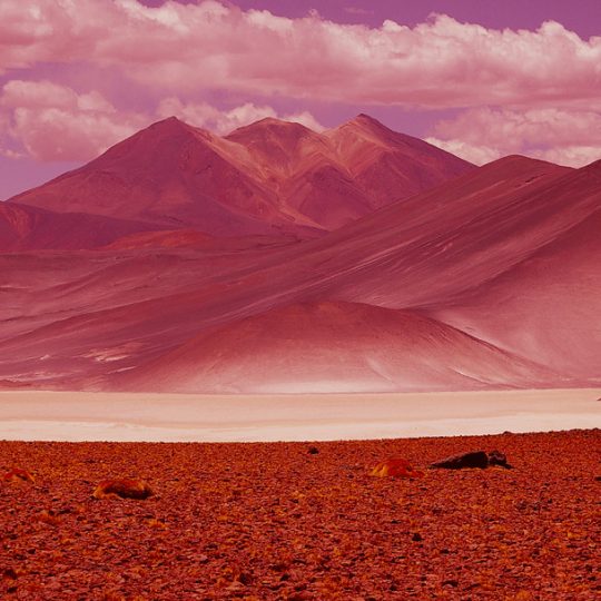 Atacama II - Flávia Bechara
