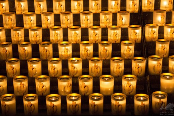Notre Dame Candles - Talissa Maeda