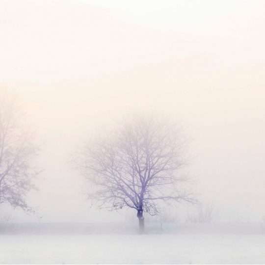 Winter Landscape - Ina Hoekstra