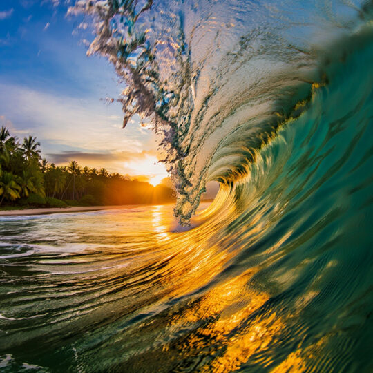 Sunset Wave Tube - Brian Cox