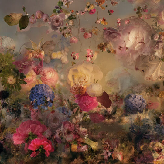 Les Jardins Suspendus 4