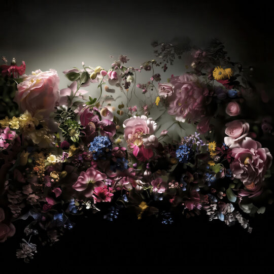 Les Jardins Suspendus 6