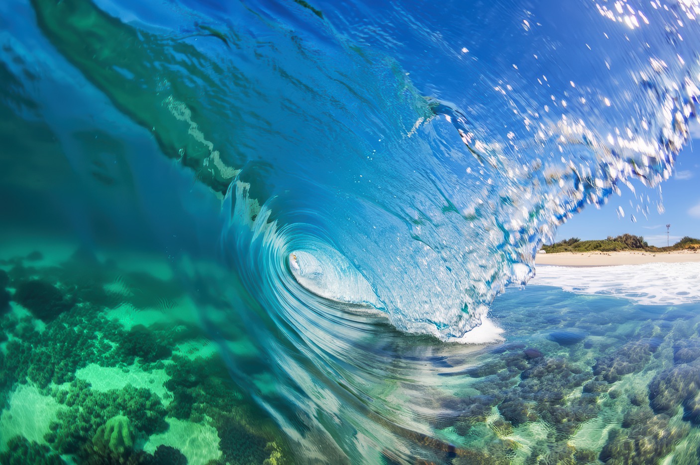 reef wave transparency reef wave transparency - Brian Cox - Photoarts Gallery